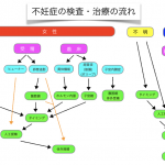不妊症の検査・治療の流れ