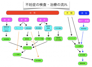 不妊症の検査・治療の流れ