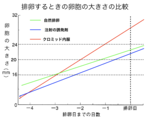 排卵時の卵胞の大きさ