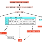 排卵障害の治療