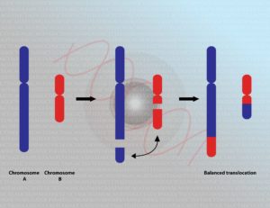 translocation