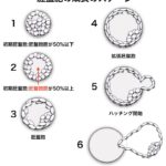 gardnerステージ