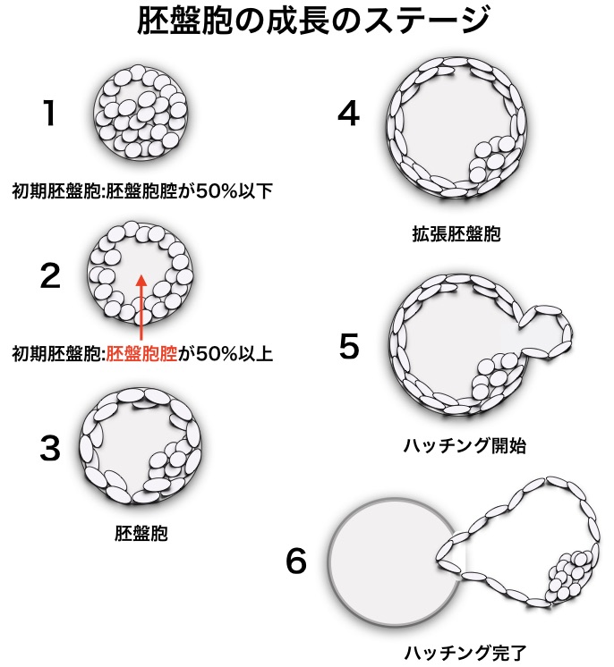 gardnerステージ