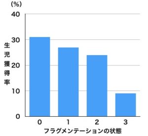 フラグメンテーション