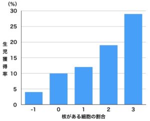 核がある細胞