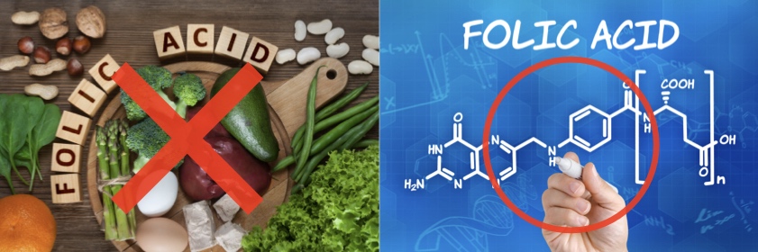 天然葉酸と合成葉酸
